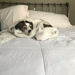 Meet your Posher, Karen